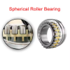 Spherical Roller Bearing Double Row 